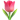 1f337.png 1f337.png