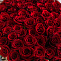 Роза 70 см бордовая 75 шт