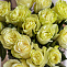 Роза 70 см белая 15 шт