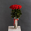 Роза 70 см красная 25 шт
