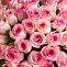 Роза 50 см розовая 51 шт