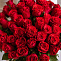 Роза 50 см красная 51 шт