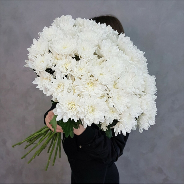 Букет из 15 кустовых хризантем  18