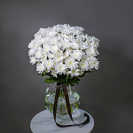 Траурный букет из белой кустовой хризантемы 20 шт. 