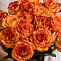 Роза 70 см оранжевая 15 шт