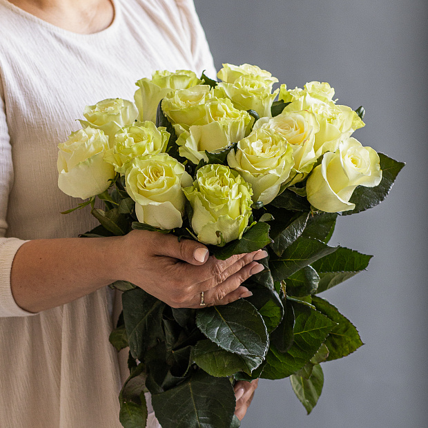Роза 70 см белая 15 шт  2