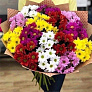 Букет из 15 кустовых хризантем  19